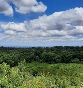 Propiedad destacada 1